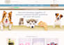 design a professional dog training website